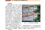 人工智能技术应用课本答案 全面解析人工智能技术的应用与发展