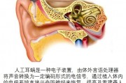 人工智能耳窝 探秘最新一代智能耳机技术