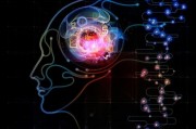 人脑人工智能：人工智能技术对人脑认知的启示