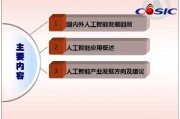 人工智能技术ppt 深入剖析人工智能技术的应用与发展