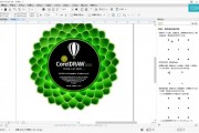coreldraw和ai的区别 图形设计软件的选择指南