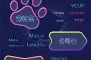 人工智能名字的选择 如何给你的AI起一个好听的名字