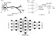人工智能神经网络 探究神经网络在人工智能领域的应用和发展