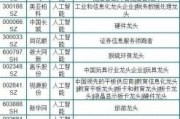 中国人工智能龙头股 探索中国人工智能企业的领军者