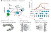 neuron 人工智能 探究神经元在人工智能中的应用