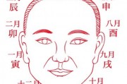 AI看相 人工智能的面相识别技术