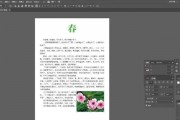 AI排版教程 从入门到精通