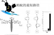 蚂蚁智能算法 探究蚂蚁智能算法的优越性及应用前景