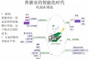 人工智能养猪 探索智能化养猪技术的前沿
