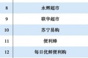人工智能公司排行榜 揭秘人工智能领域的龙头企业