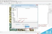 AI转CDR 使用AI技术将图像转换为CDR格式