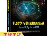 数据挖掘实用机器学习技术及java实现 掌握机器学习技术与Java编程实战