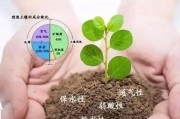 土壤酸碱性智能算法 利用人工智能技术提高土壤酸碱性诊断精度
