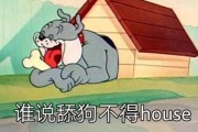 人工智能舔狗器 让你的手机成为专业舔狗工具