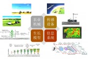 农业人工智能的应用前景与发展趋势
