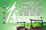 信阳毛尖88ai 了解中国茶文化中的信阳毛尖
