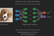 python人工智能视图 深度学习与神经网络的应用