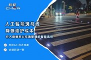 斑马线人工智能技术 探索斑马线应用于人工智能领域的新技术