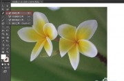 AI里面怎么抠图 AI图像处理技巧分享