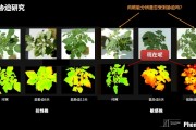 植物智能算法在植物研究中的应用与发展