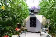 人工智能农场的未来发展趋势及应用前景