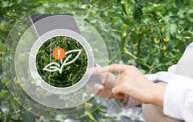 抓虫人工智能 利用AI技术解决植物害虫问题