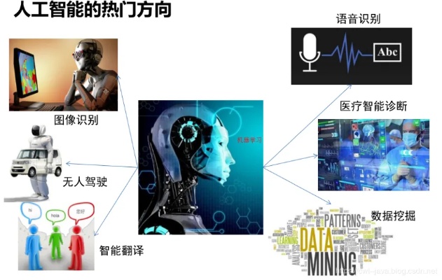 vitis人工智能 探索vitis在人工智能领域的应用前景