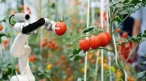 人工智能技术的农业应用 探讨智能农业的现状和未来