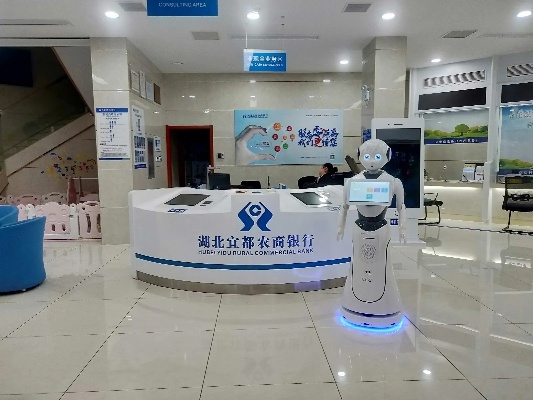 人工智能机器人银行 探索未来银行服务的新模式