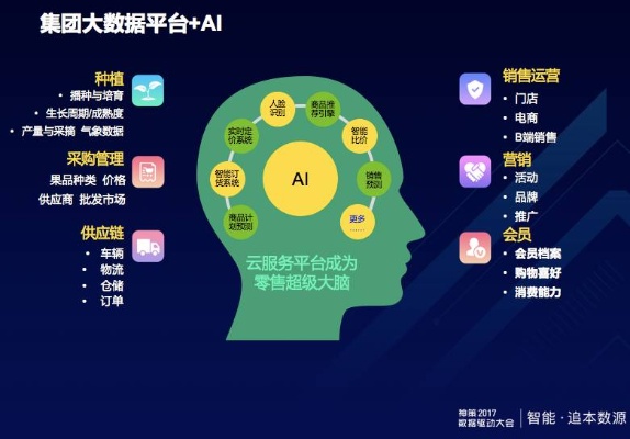大数据与AI：如何让数据更好地服务于人工智能？