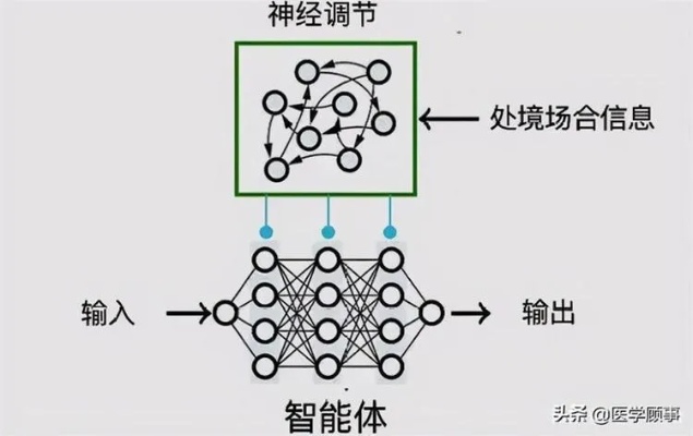 智能算法的问题 探讨智能算法的优缺点与应用