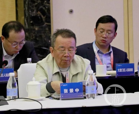 张景中人工智能 探究张景中在人工智能领域的贡献与成就