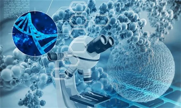 分子预测与人工智能：探索化学领域的新机遇
