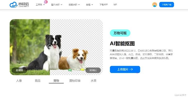 ai怎么抠图啊 图像处理中的抠图技巧