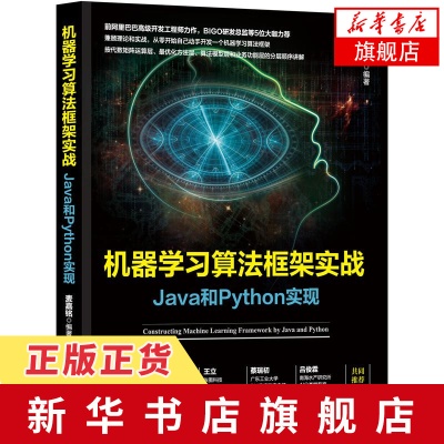 数据挖掘实用机器学习技术及java实现 掌握机器学习技术与Java编程实战