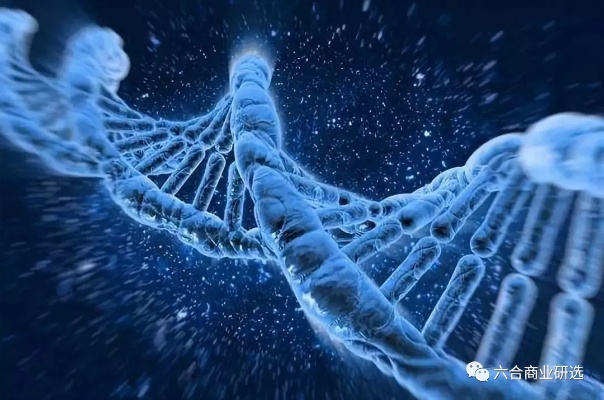 人工智能生成的生物形态图片 探索人工智能在生物领域的应用