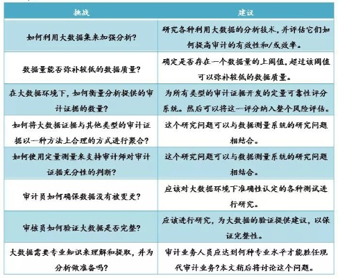 人工智能审计的应用与前景分析