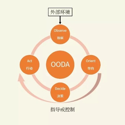人工智能算法OODA 深入探索OODA循环的应用