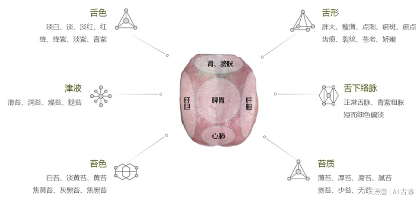 AI舌诊 利用AI技术实现舌诊诊断