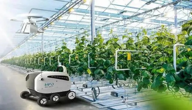 人工智能的农业新世界 AI技术在农业领域的应用与前景