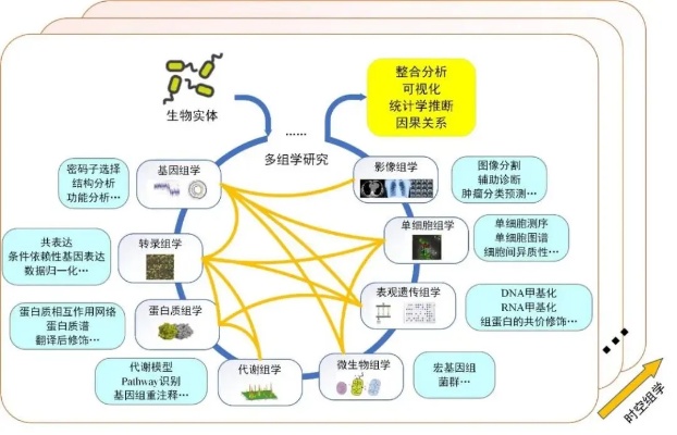 数据生物智能算法 探索生物信息学领域中的智能算法应用