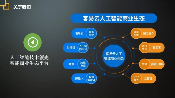 共享与人工智能 探讨共享经济与人工智能的结合与发展