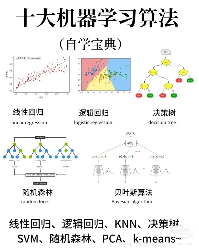 机器学习算法包括 详解常见的机器学习算法