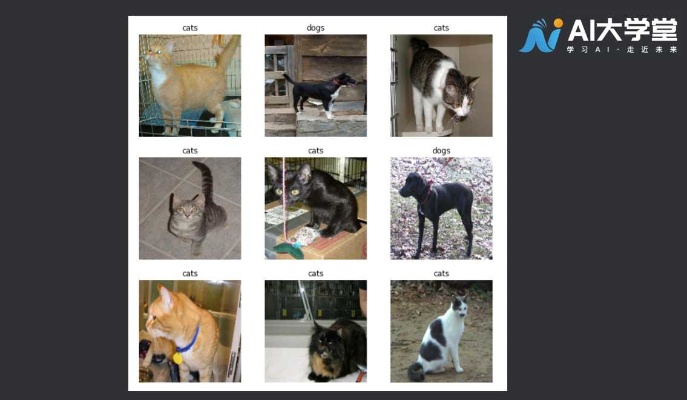 人工智能cat dog 让人工智能识别猫狗的技术方法