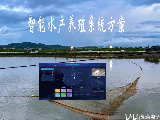 水产智能算法 提升水产养殖效率的新技术