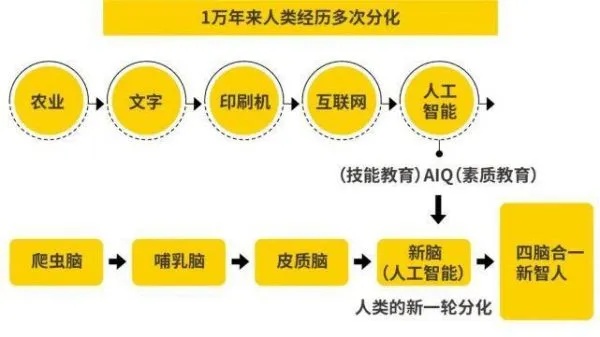 人工智能与人类智能的区别与联系