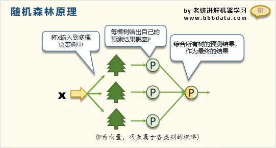 机器学习分类 深入探讨机器学习中的分类算法