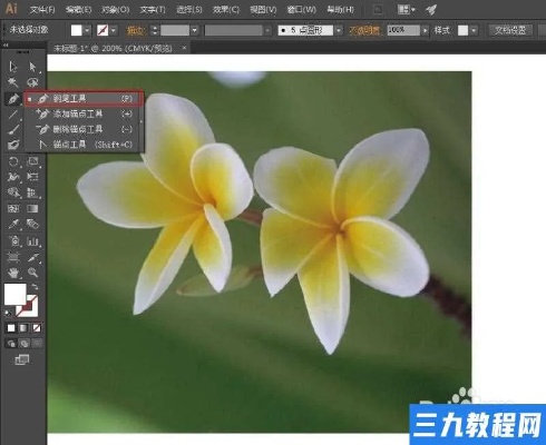 AI里面怎么抠图 AI图像处理技巧分享