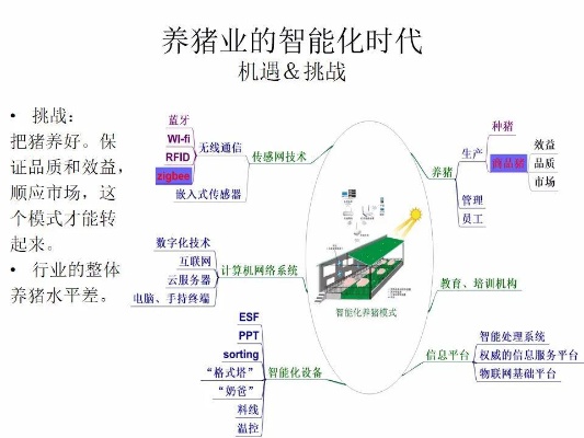 人工智能养猪 探索智能化养猪技术的前沿