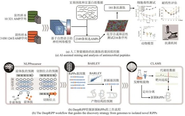 人工智能与基因工程的交叉应用 探讨人工智能在基因工程领域的应用